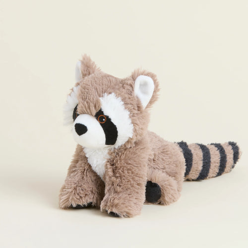 Racoon : Junior Warmies