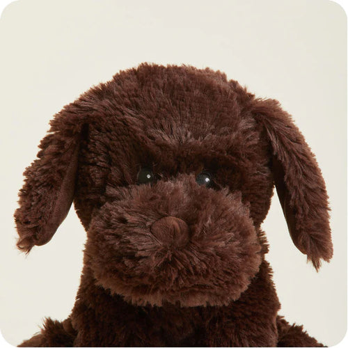 Chocolate Labrador : Warmies