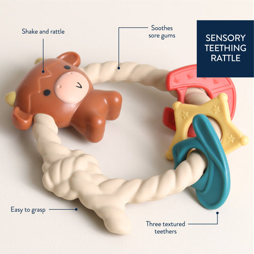 Ritzy Rattle Teether: Highland Cow