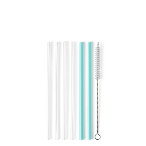 Clear + Aqua Reusable Straw Set (short)